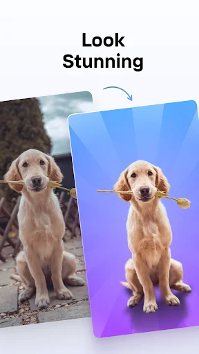 PhotoRoom Screenshot 4