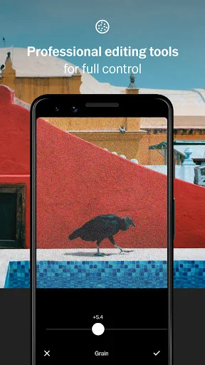 VSCO Screenshot 3