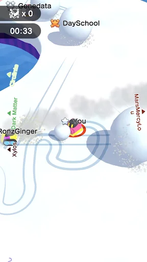Snowball.io Screenshot 4